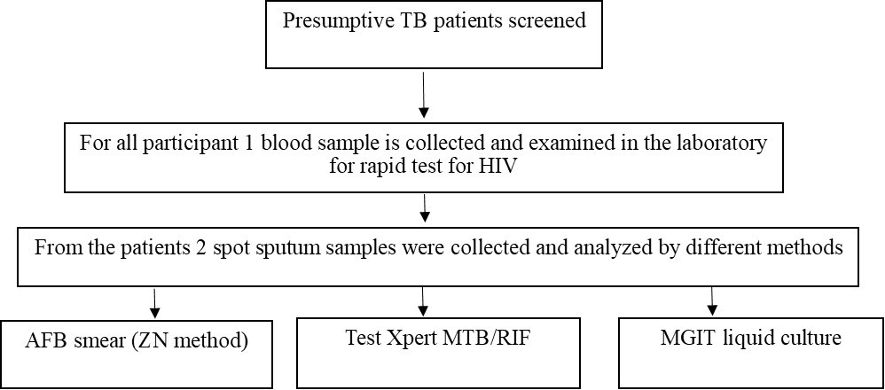 Flowchart of patient recruitment at Makelekele Referral Hospital and laboratory methods used.