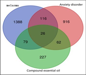 Cross-targets between CEO and anxiety with melasma