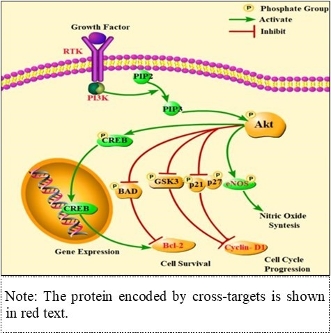 Regulation of PI3K/Akt signal pathway by active components of CEO.