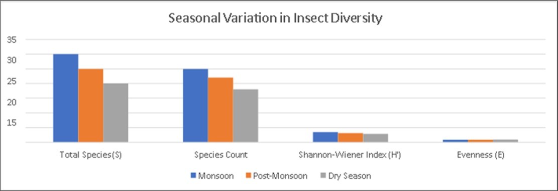 Seasonal Variation in Insect Diversity